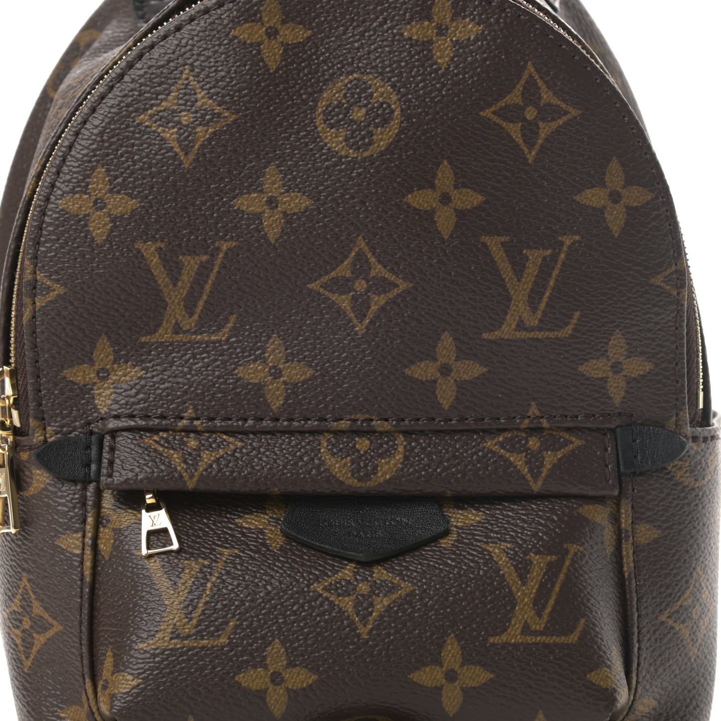 Monogram Palm Springs Backpack Mini