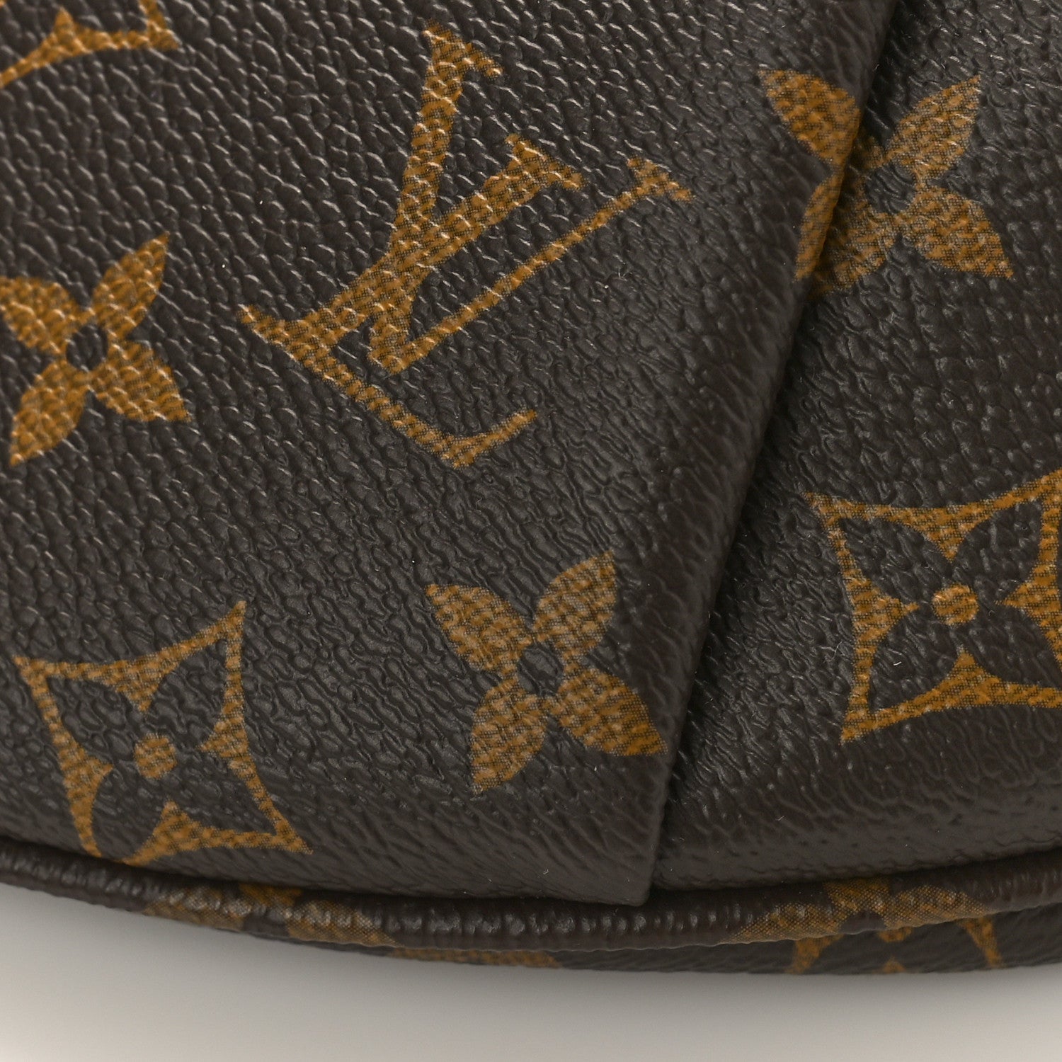 Louis Vuitton LOUIS VUITTON Monogram High Rise Bumbag 9 of 10