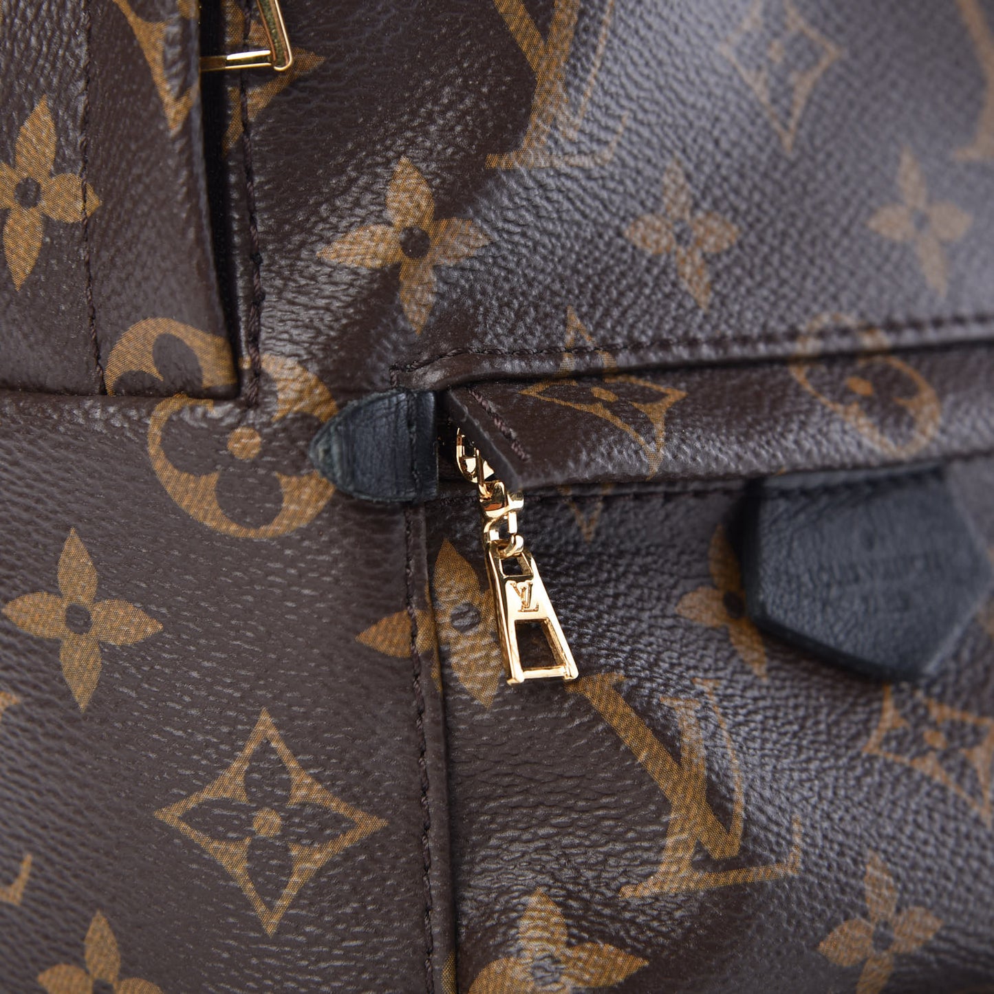Monogram Palm Springs Backpack Mini
