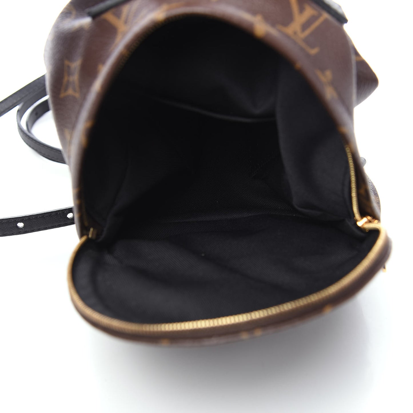 Monogram Palm Springs Backpack Mini