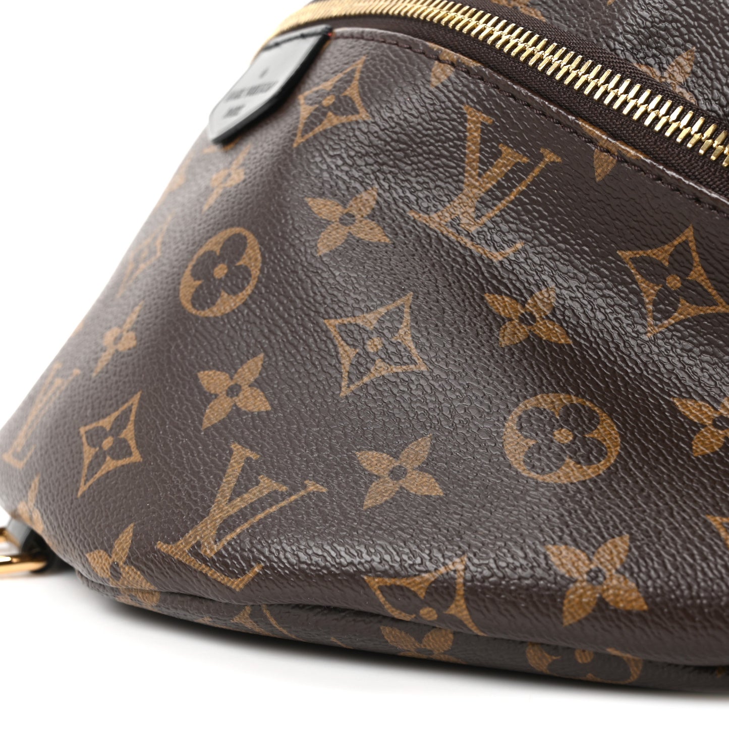 Monogram My LV World Tour Bumbag