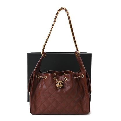 Chanel Caviar Quilted Small Chanel 25 Handbag Brown 11 of 11