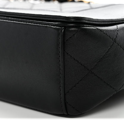 Chanel Sheepskin Quilted Vintage Mademoiselle Flap Black 10 of 11