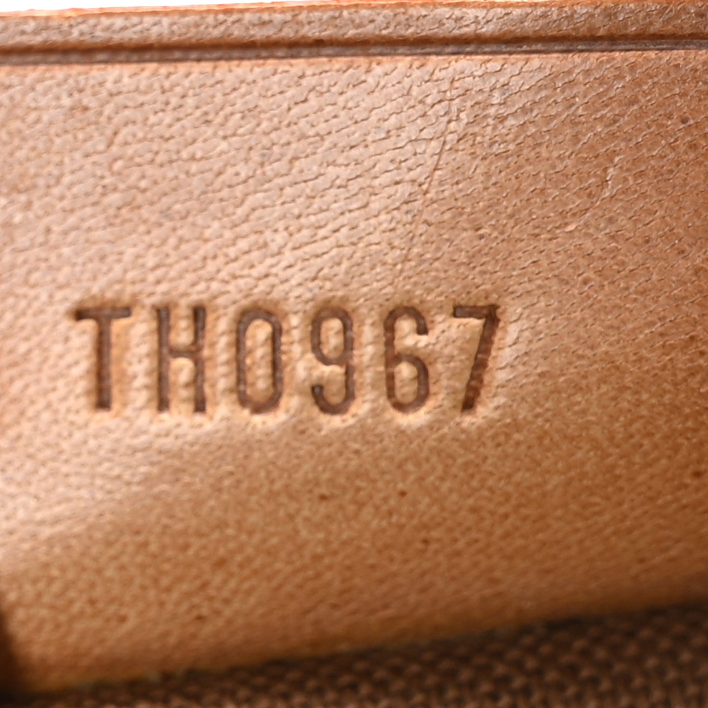 Monogram Mini Sac HL Speedy