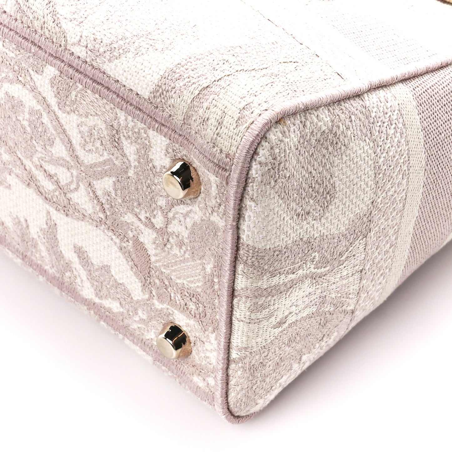 Canvas Toile De Jouy Reverse Embroidered Medium Lady D-Lite Rose