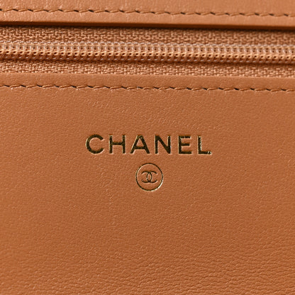 Chanel Lambskin Quilted Chanel 19 Wallet On Chain WOC Brown 5 of 13