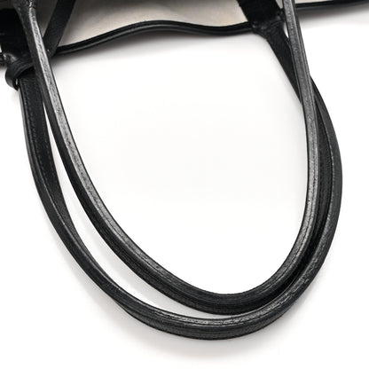 Goyard Goyardine Saint Louis PM Black 19 of 20