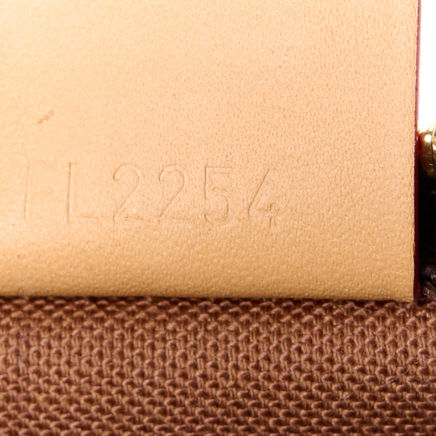 Monogram Nano Speedy Bandouliere