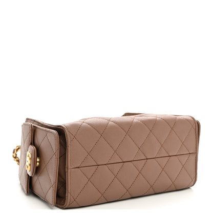 Chanel Caviar Quilted Mini Chanel 25 Handbag Brown 3 of 9