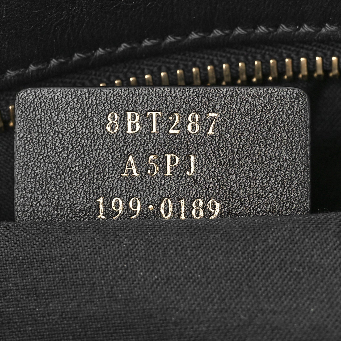 Vitello Century F is Fendi Bi-Color FF 1974 Embossed Camera Case Maya Black