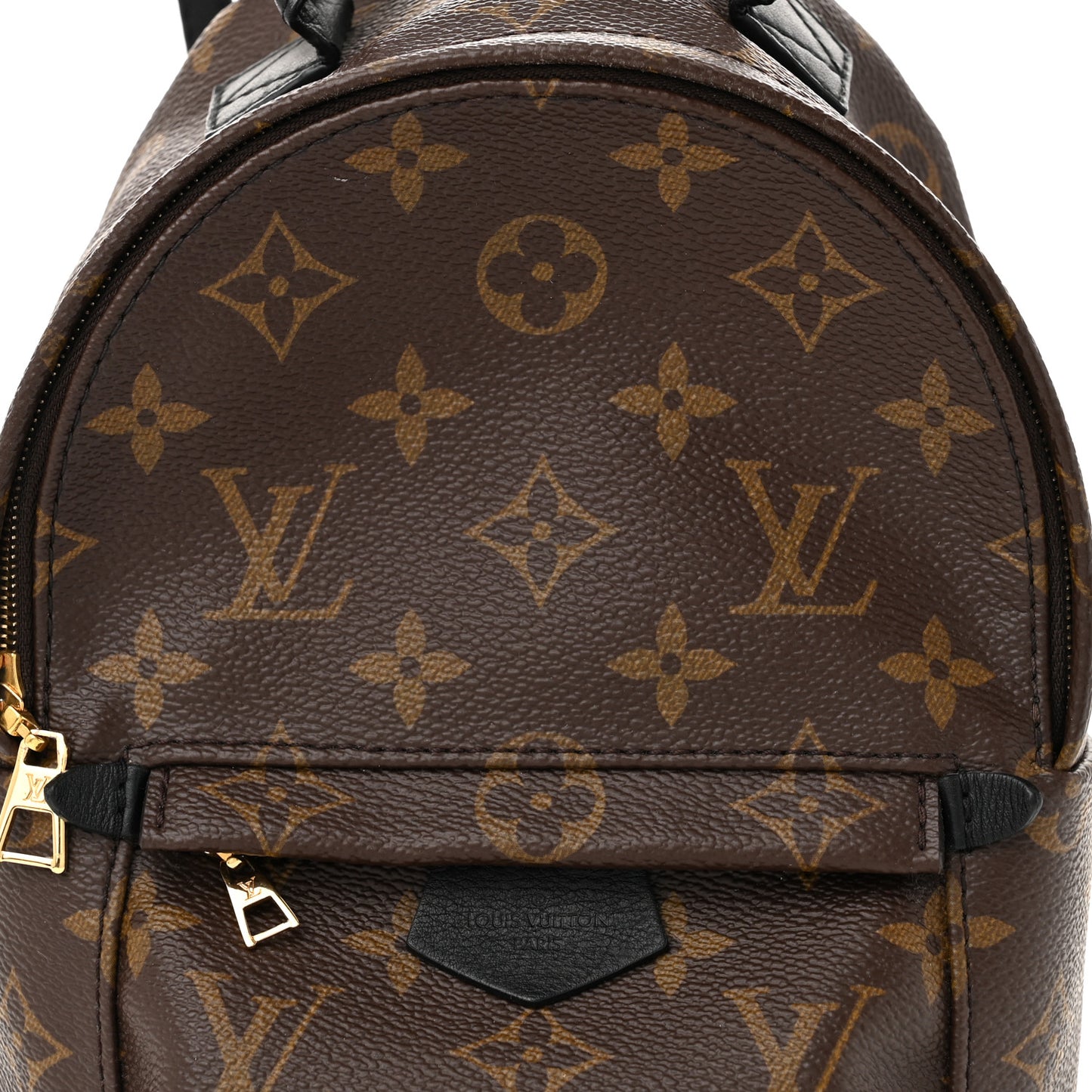 Monogram Palm Springs Backpack Mini