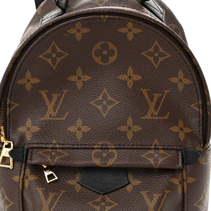Louis Vuitton Monogram Palm Springs Backpack Mini 8 of 10