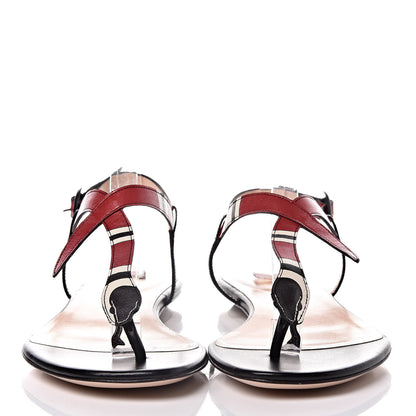 Gucci Calfskin Yoko Snake T-Strap Thong Sandals 38.5 Black 2 of 9