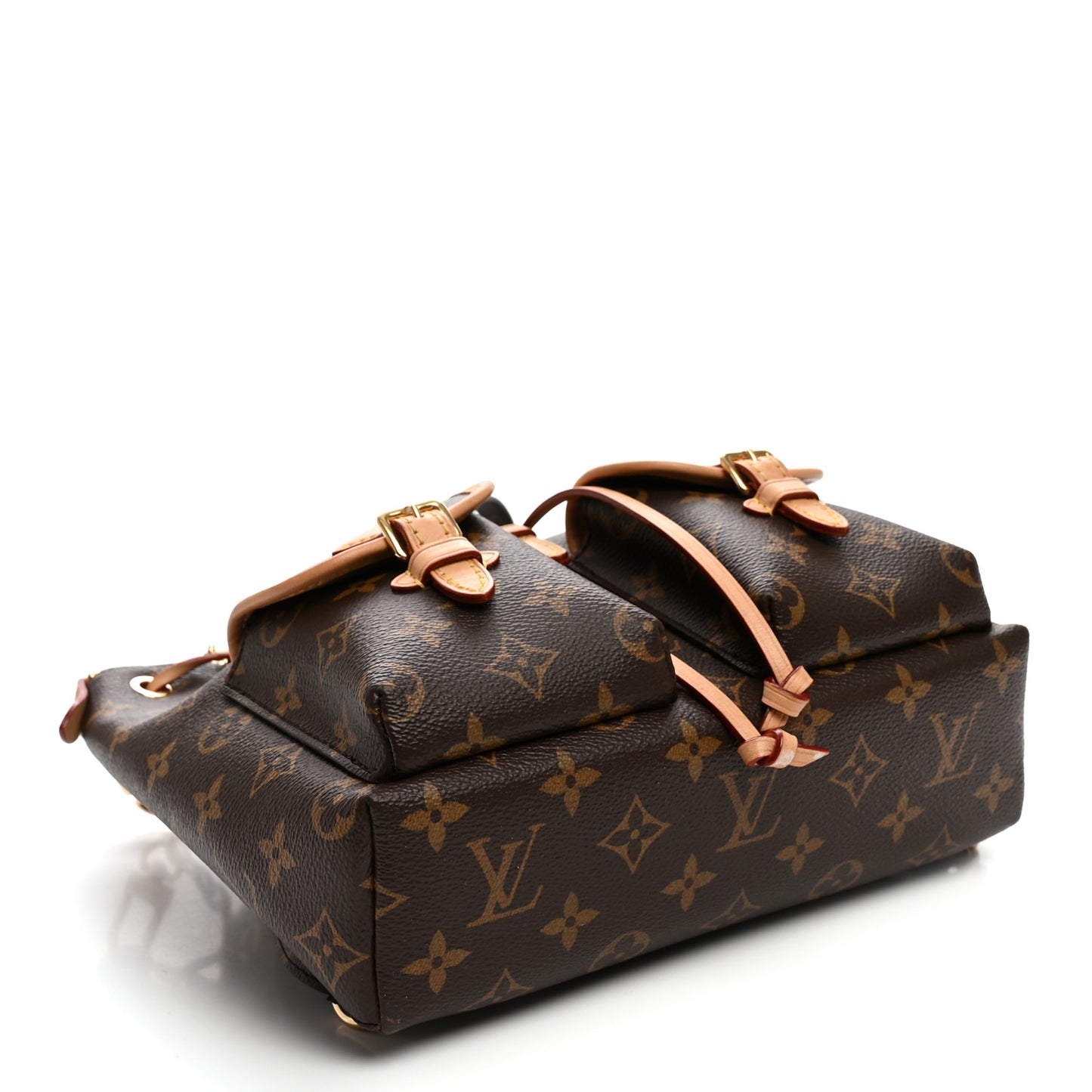 Monogram Excursion PM Backpack