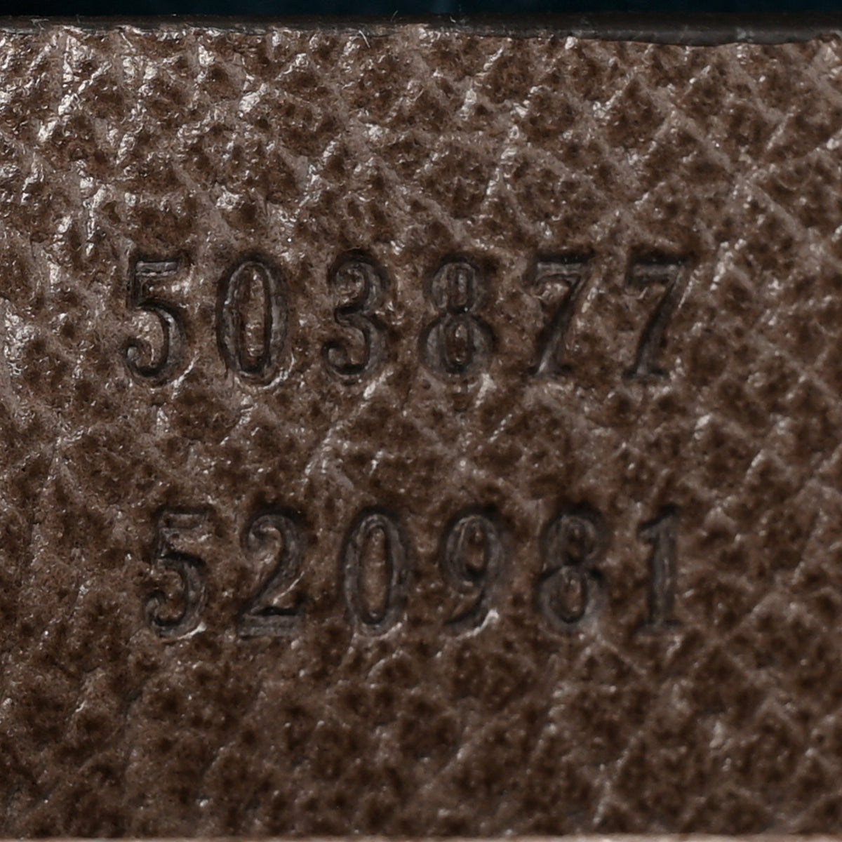 GG Supreme Monogram Web Small Ophidia Chain Shoulder Bag Brown