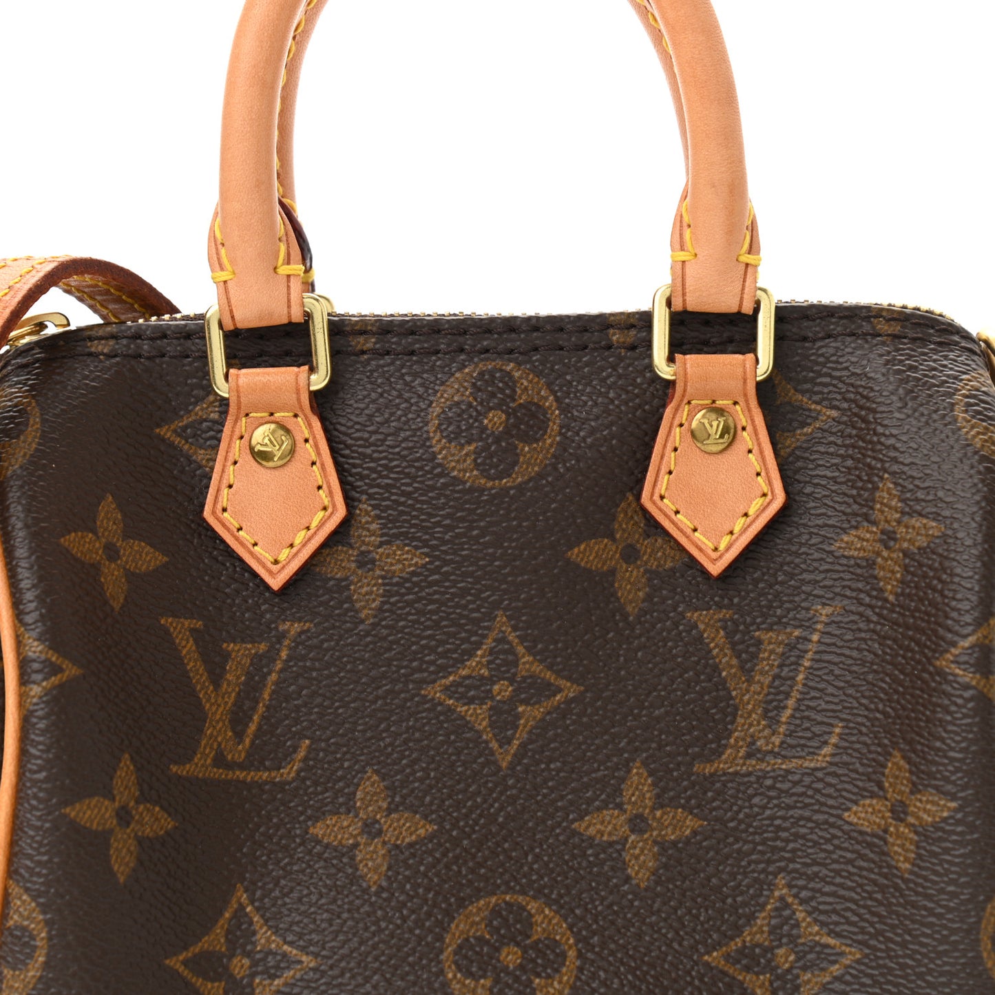 Monogram Nano Speedy