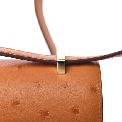 Hermes Ostrich Constance 18 Abricot 18 of 20