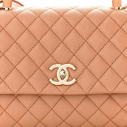 Chanel Caviar Quilted Lizard Embossed Small Coco Handle Flap Brown 8 of 10