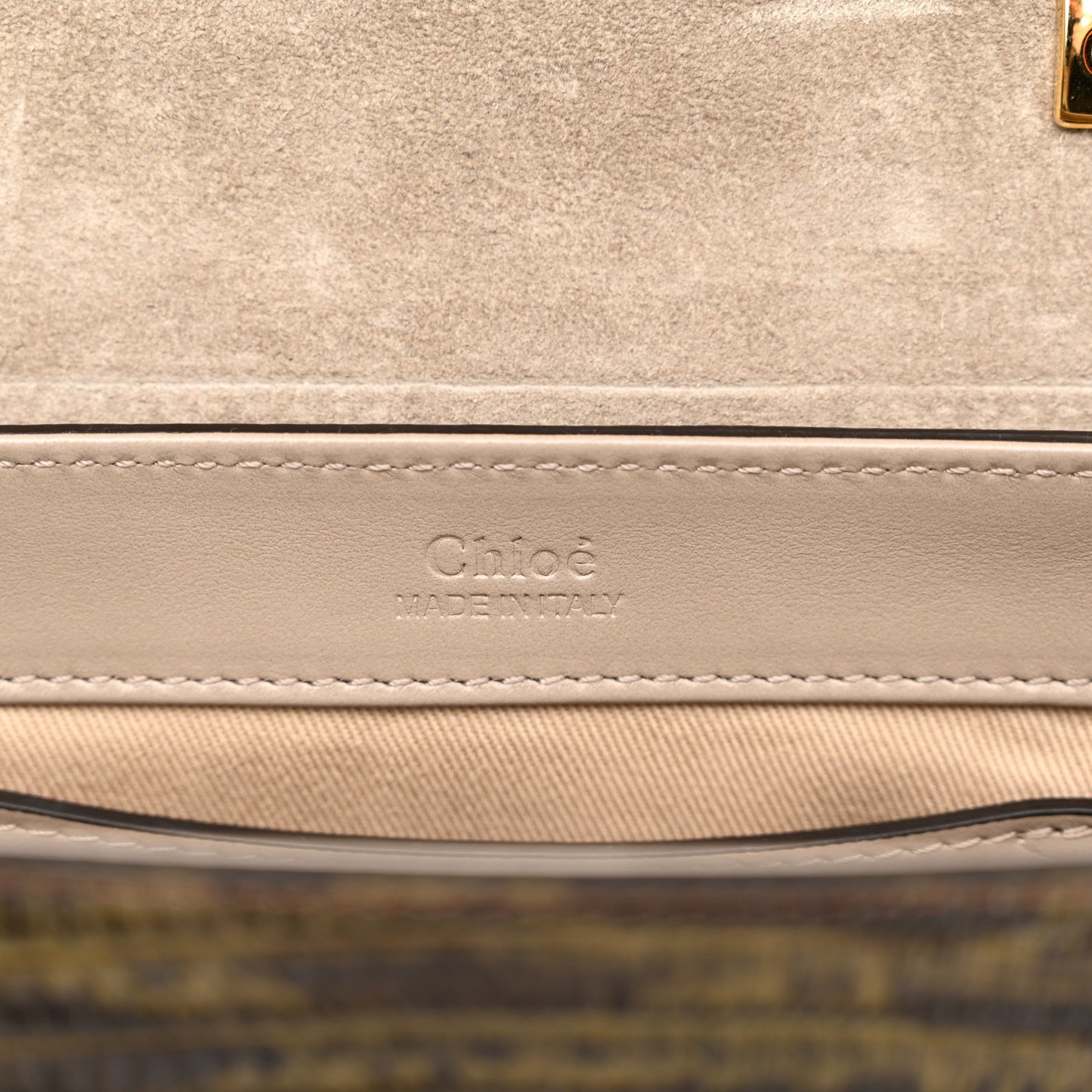 Goatskin Calfskin Lizard Embossed Mini C Double Carry Antique Green