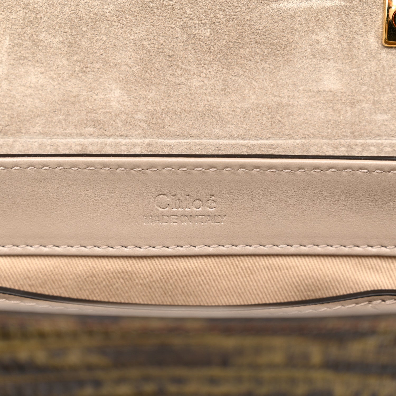 Chloe Goatskin Calfskin Lizard Embossed Mini C Double Carry Antique Green 6 of 11