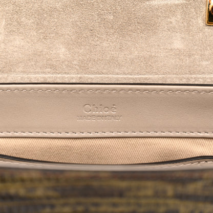 Chloe Goatskin Calfskin Lizard Embossed Mini C Double Carry Antique Green 6 of 11