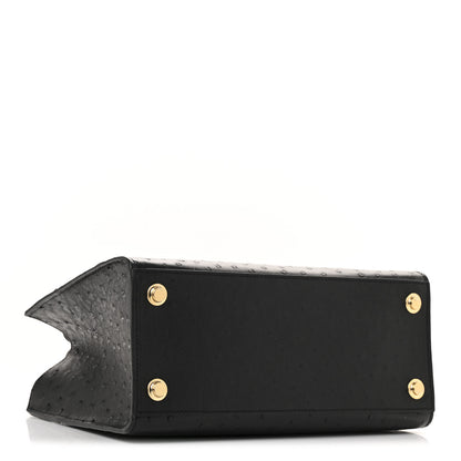Louis Vuitton Ostrich City Steamer PM Black 4 of 12