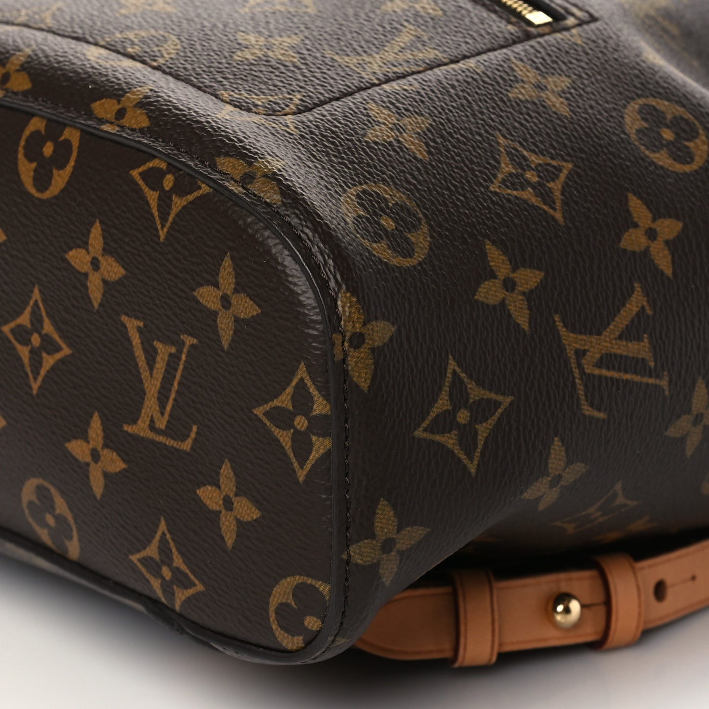 Monogram Montsouris NM Backpack