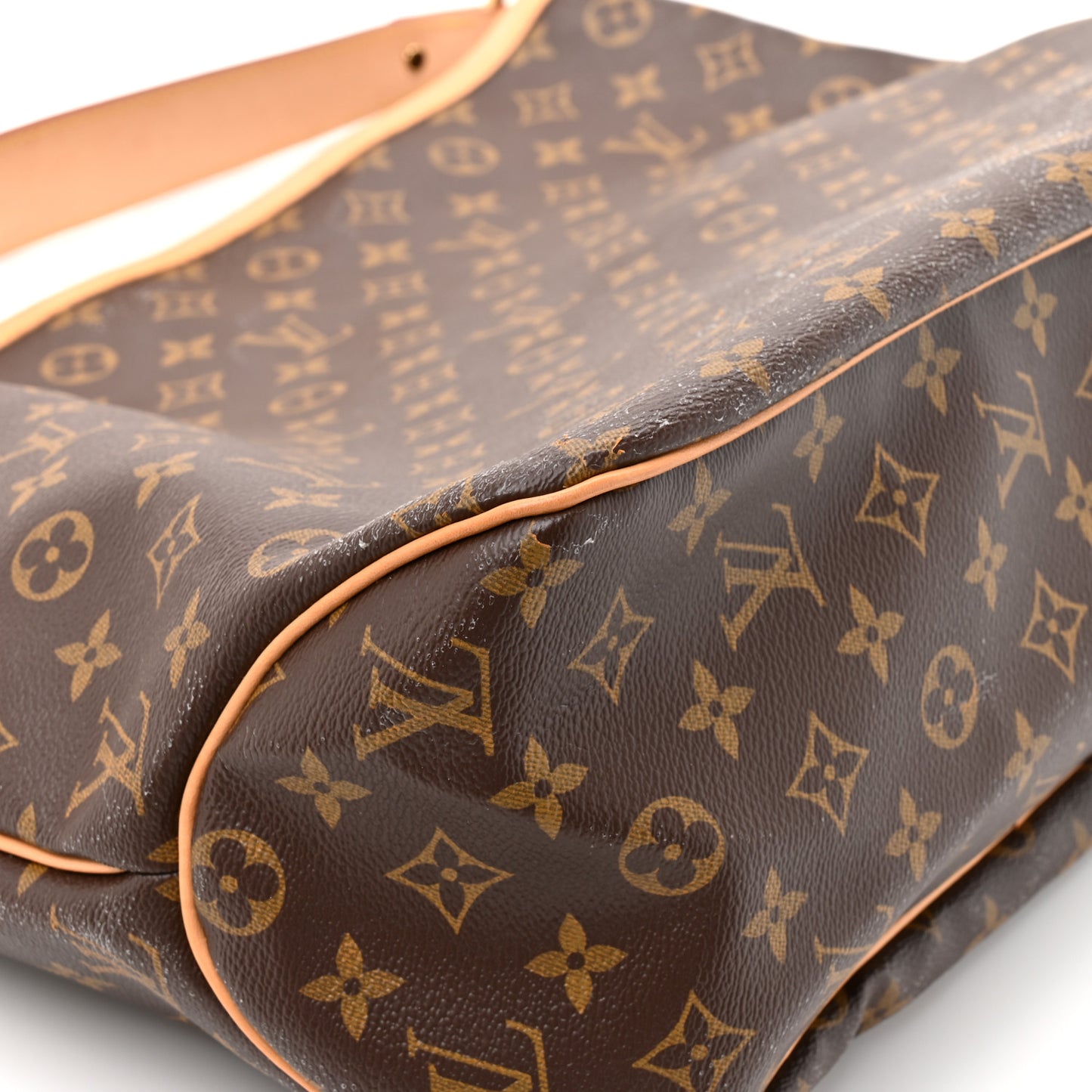 Monogram Delightful MM