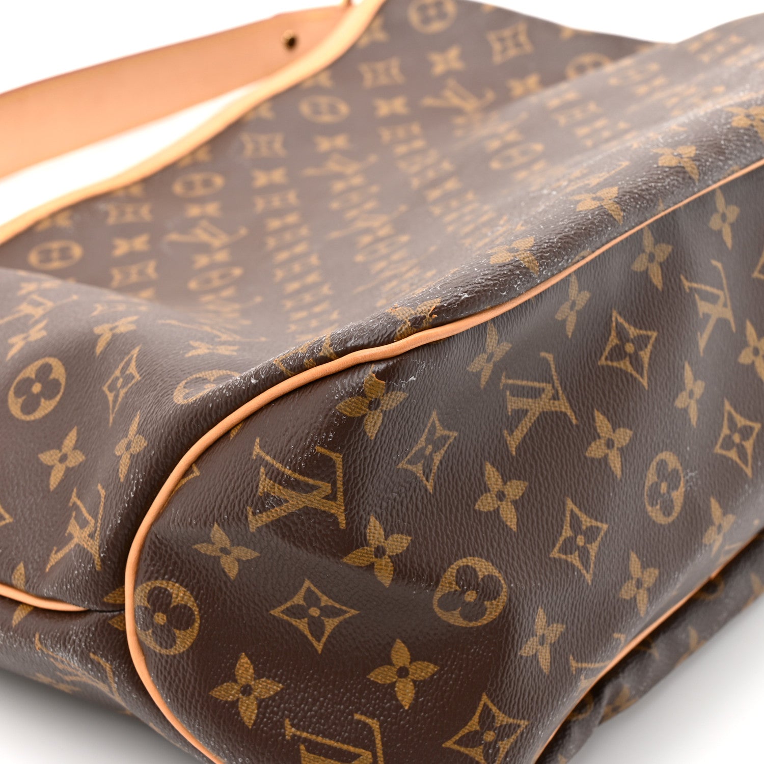 Louis Vuitton Monogram Delightful MM 10 of 13