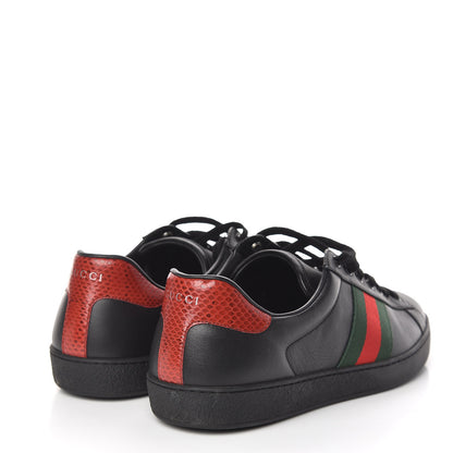 Gucci Miro Soft Calfskin Ayers Web Mens Ace Sneakers 11 Black Rosso 3 of 10