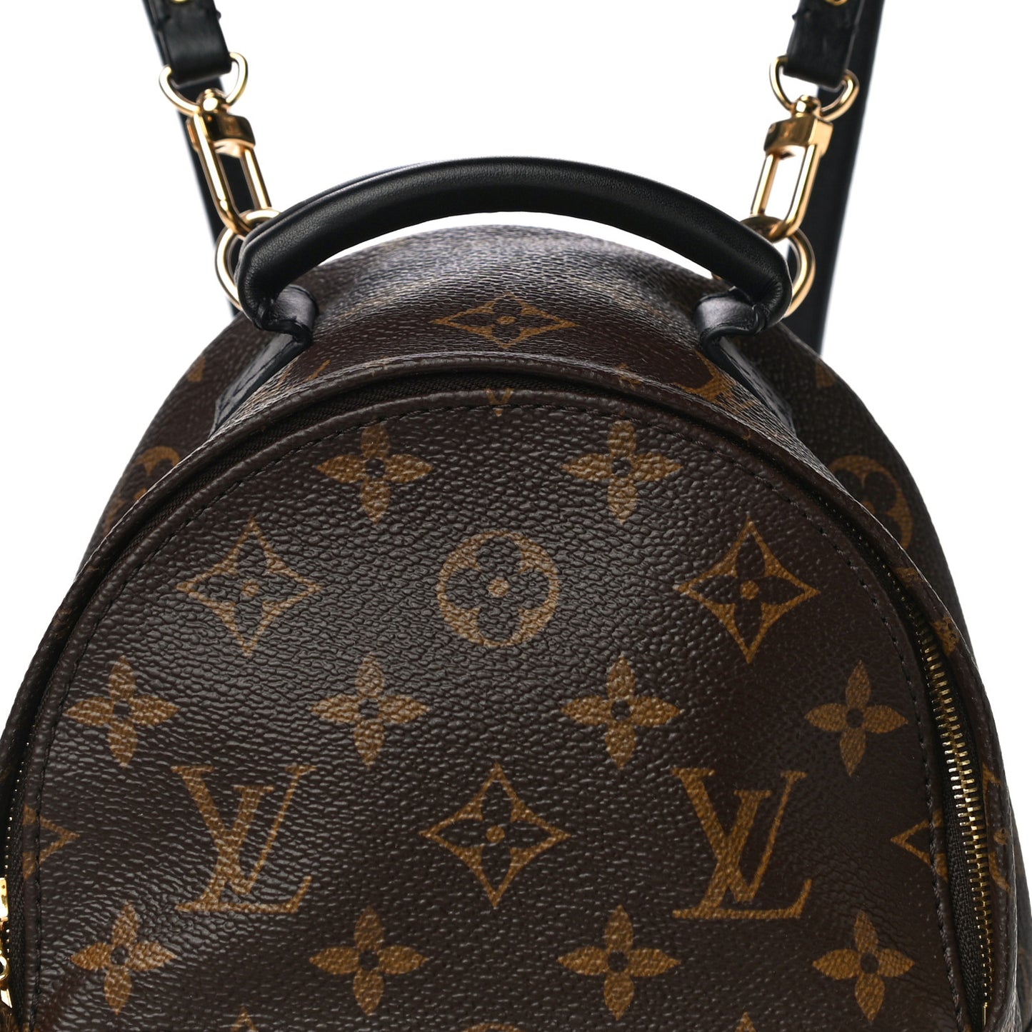 Monogram Palm Springs Backpack Mini