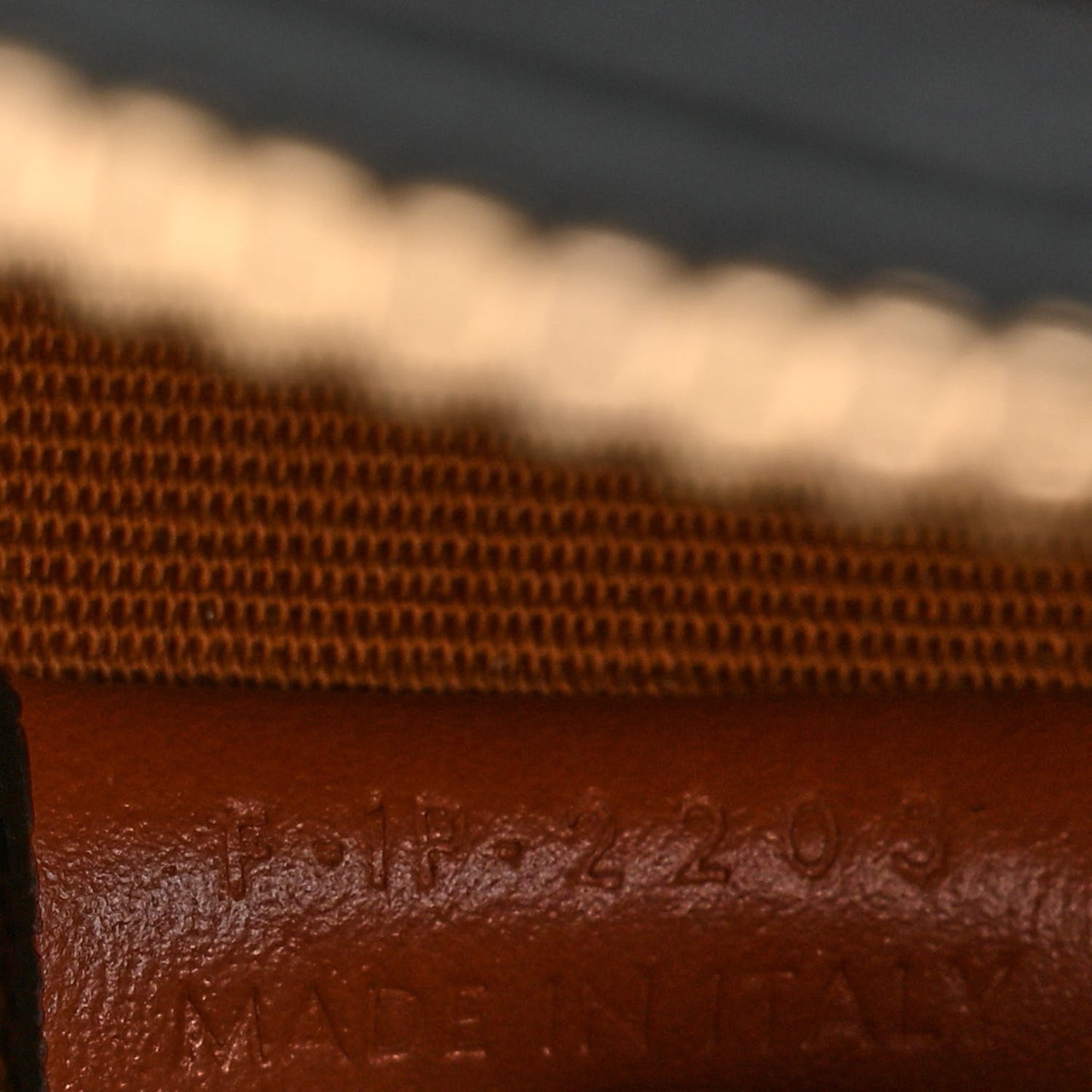 Calfskin Triomphe Canvas Half Moon Case Tan