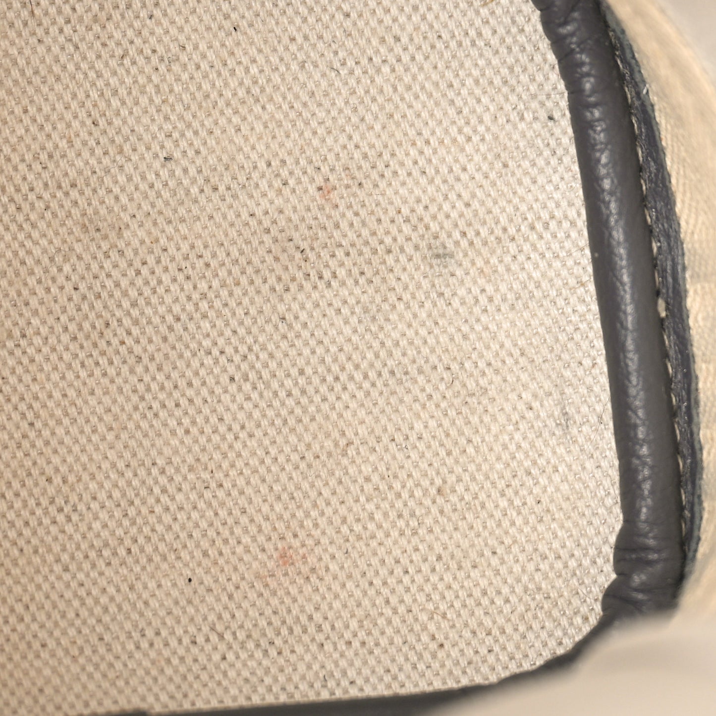 Goyardine Calfskin Mini Alpin Backpack Grey