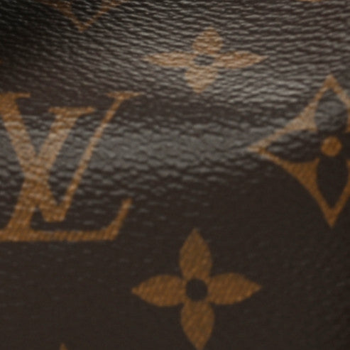 Louis Vuitton Monogram Petit Noe NM 14 of 14