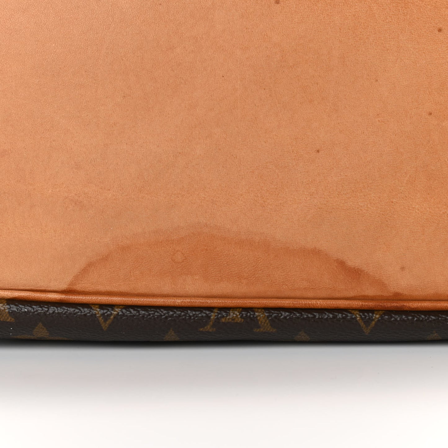 Monogram Petit Noe