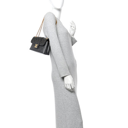 Celine Triomphe Canvas Teen Victoire Tan 2 of 9