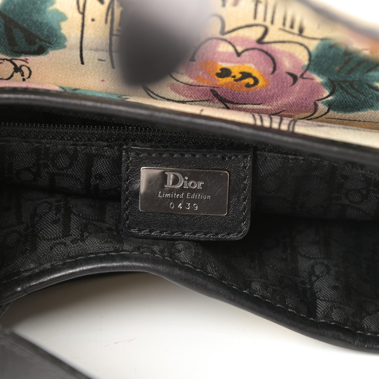 Christian Dior Canvas Paris 50s Saddle Bag Multicolor 6 of 11