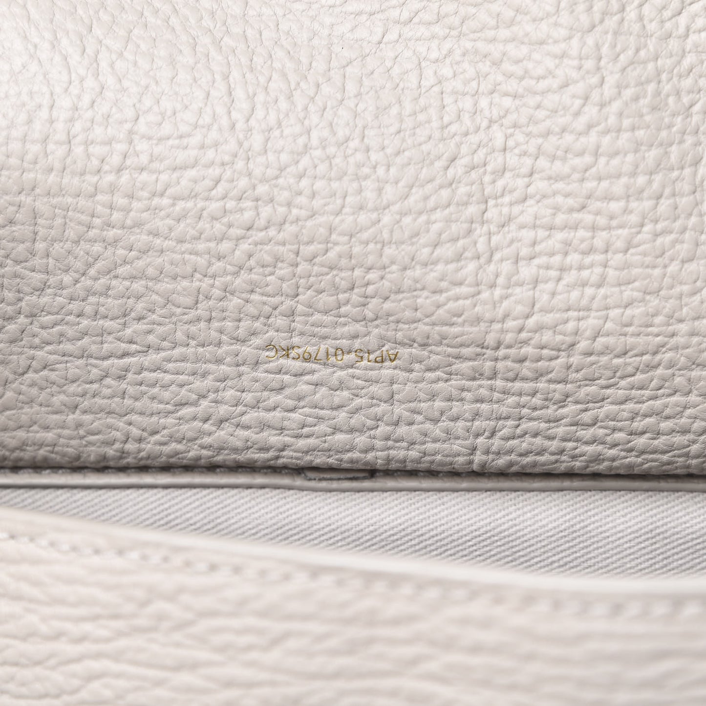 3.1 Textured Calfskin Medium Pashli Satchel Feather