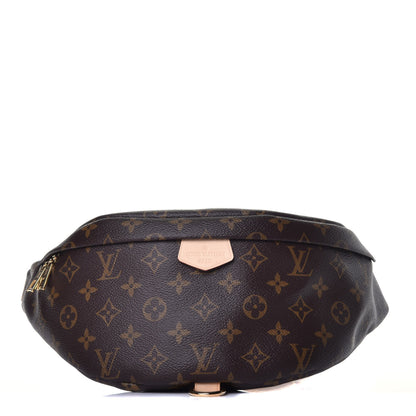 Louis Vuitton Monogram Bumbag 1 of 9