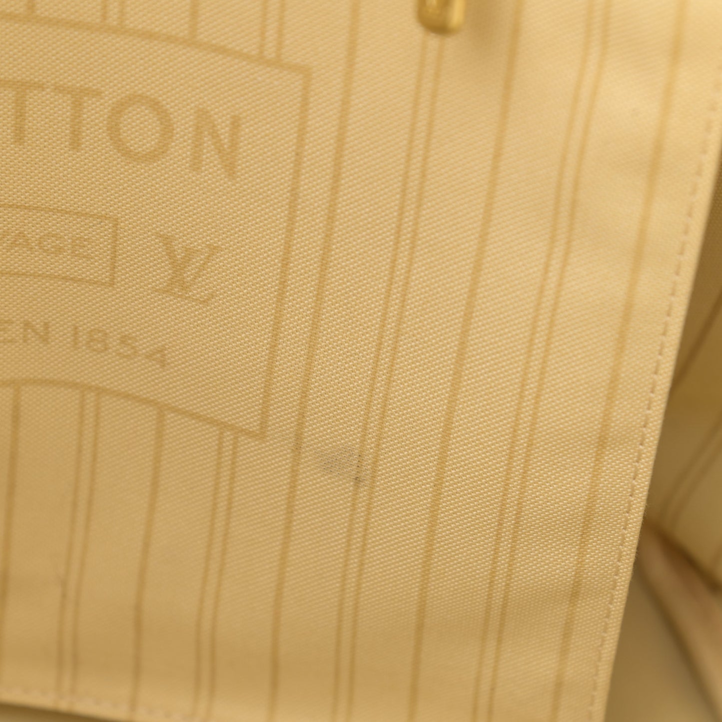 Monogram Tahitienne Saint Barth Neverfull MM