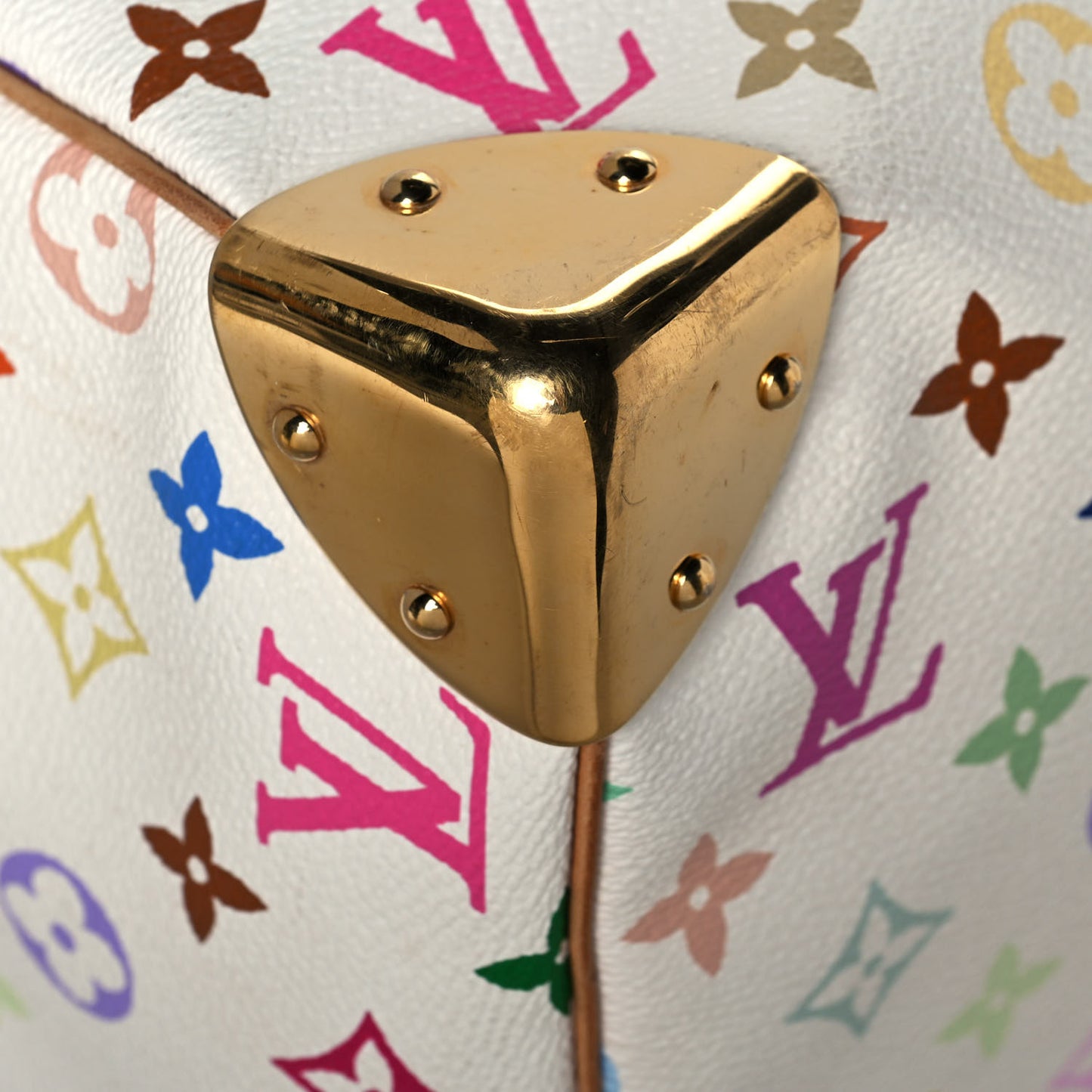 Monogram Multicolor Speedy 30 White