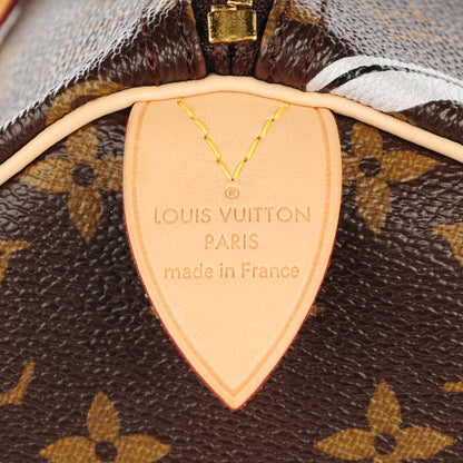 Louis Vuitton Monogram Bay Speedy 30 Rose Ballerine Poppy 6 of 7
