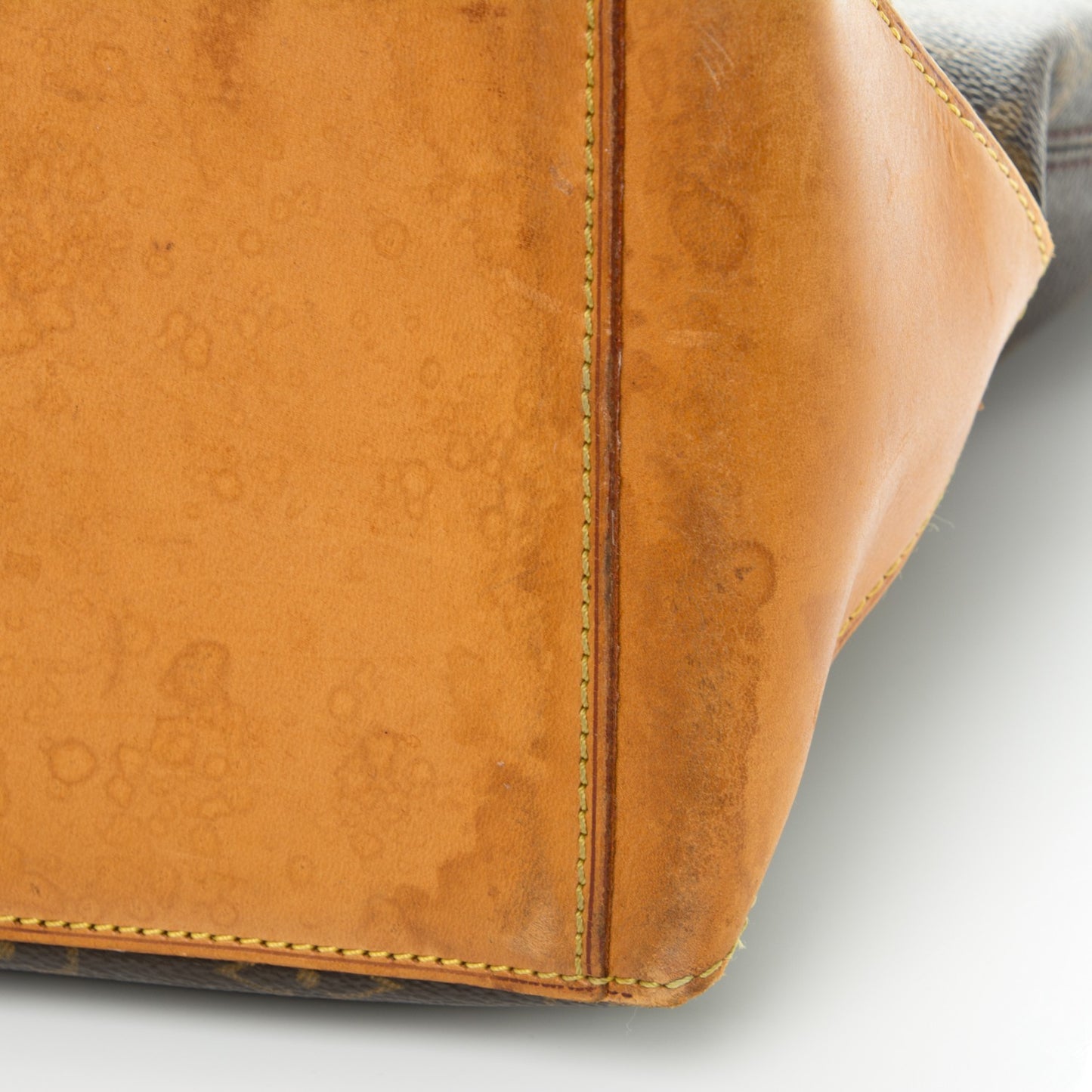 Monogram Cabas Mezzo