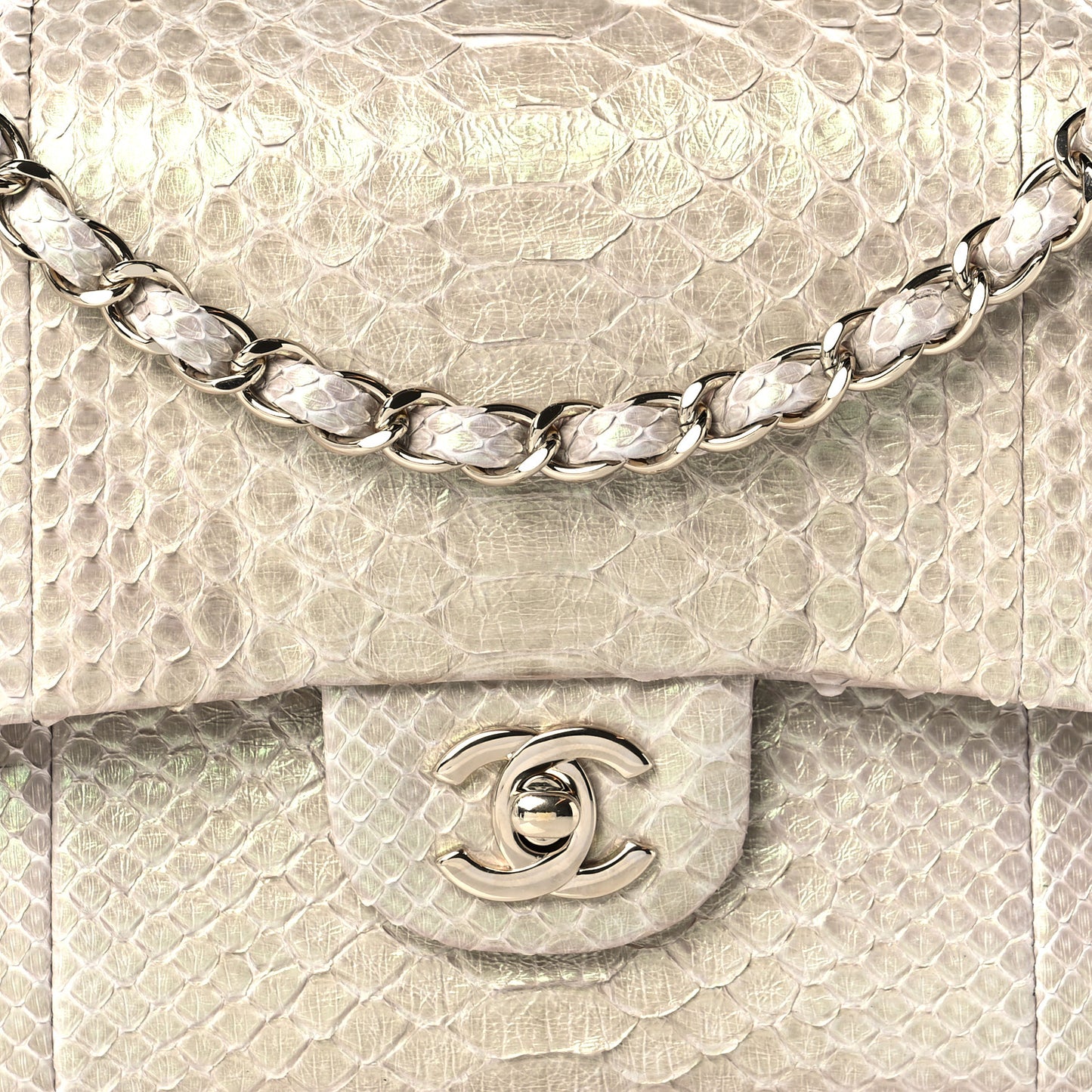 Metallic Python Medium Double Flap Light Beige