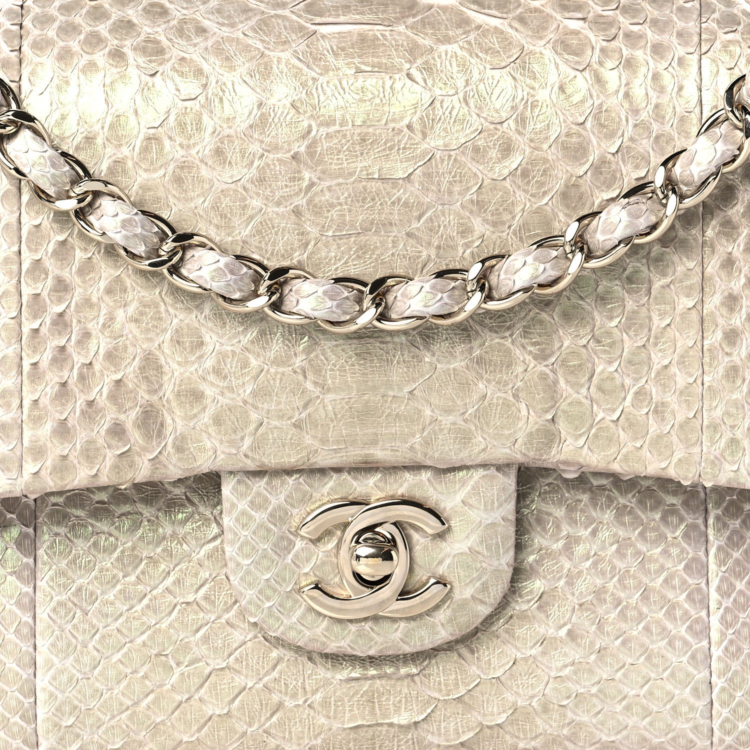 Chanel Metallic Python Medium Double Flap Light Beige 11 of 11