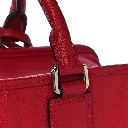 Loewe Goatskin Amazona Fuchsia 11 of 15