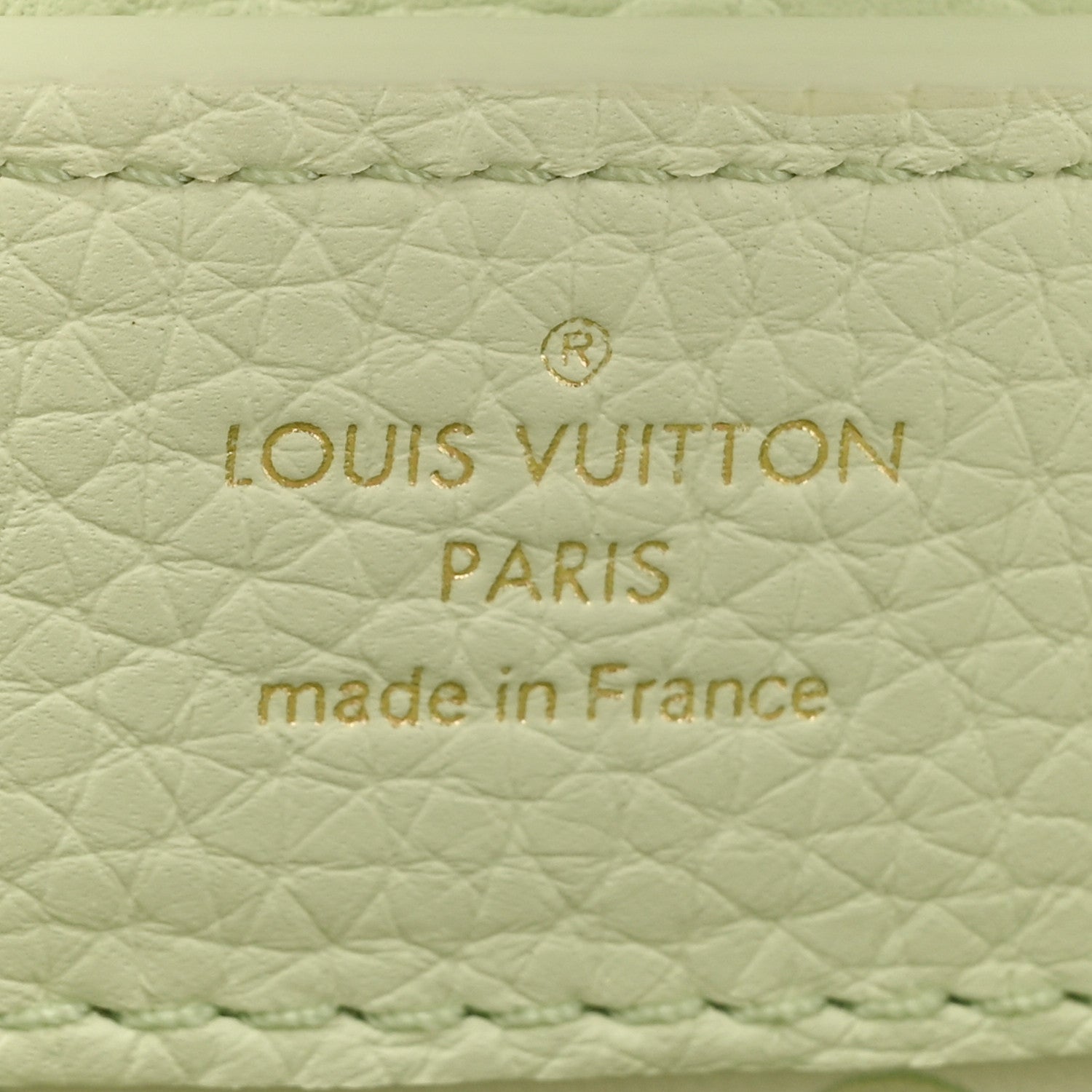 Louis Vuitton Taurillon Karung Mini Capucines Vert D'eau Green 6 of 11