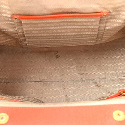 Prada Canapa Stampata Frame Bag Papaya 5 of 15