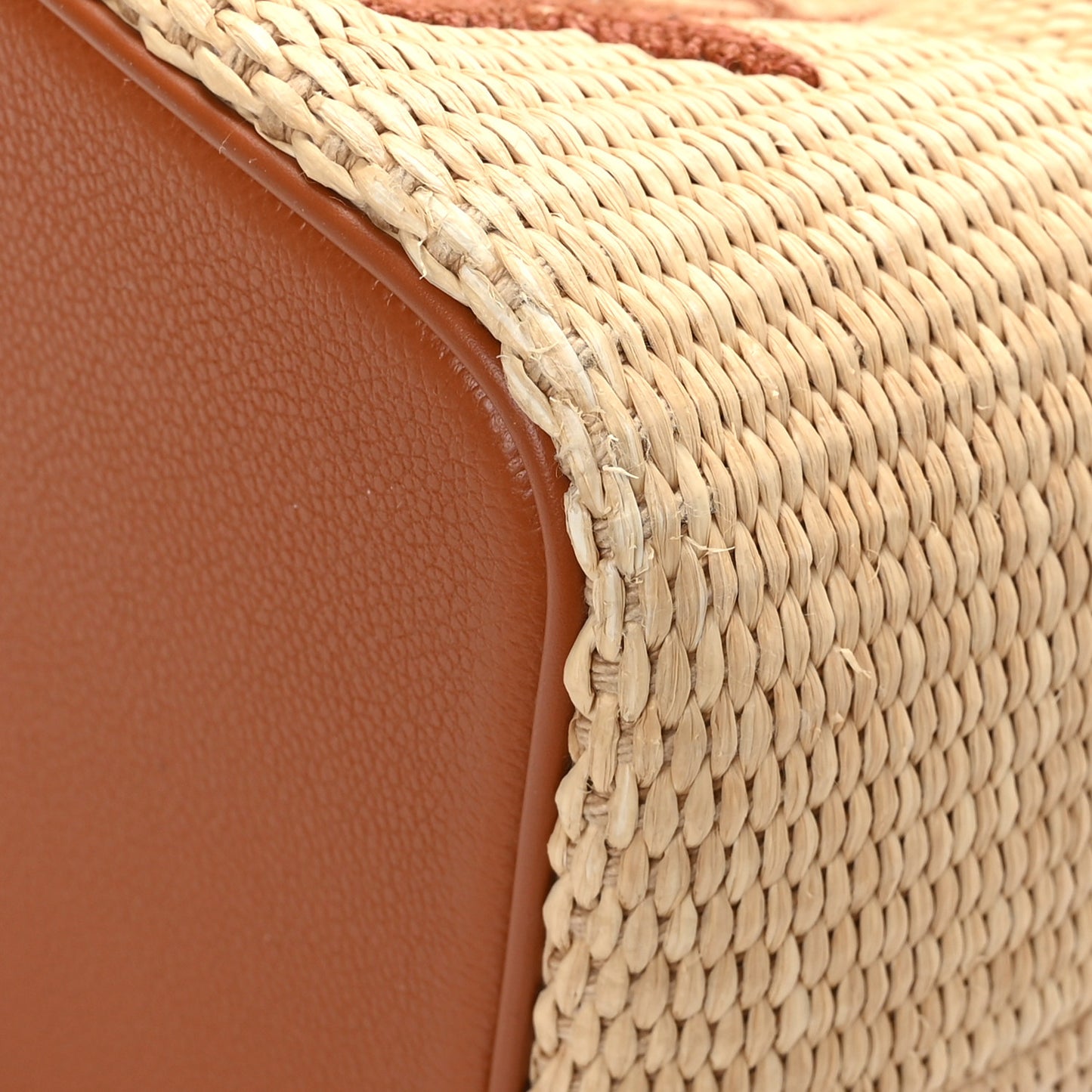 Raffia Calfskin Monogram Neonoe MM Tan