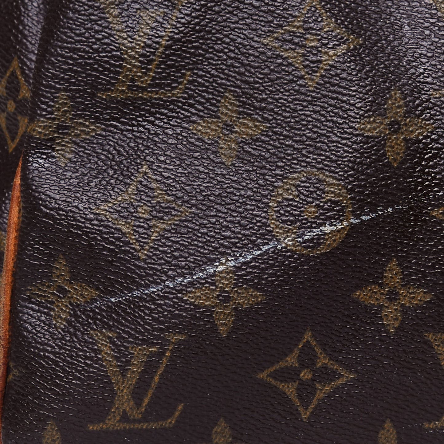 Monogram Speedy 30